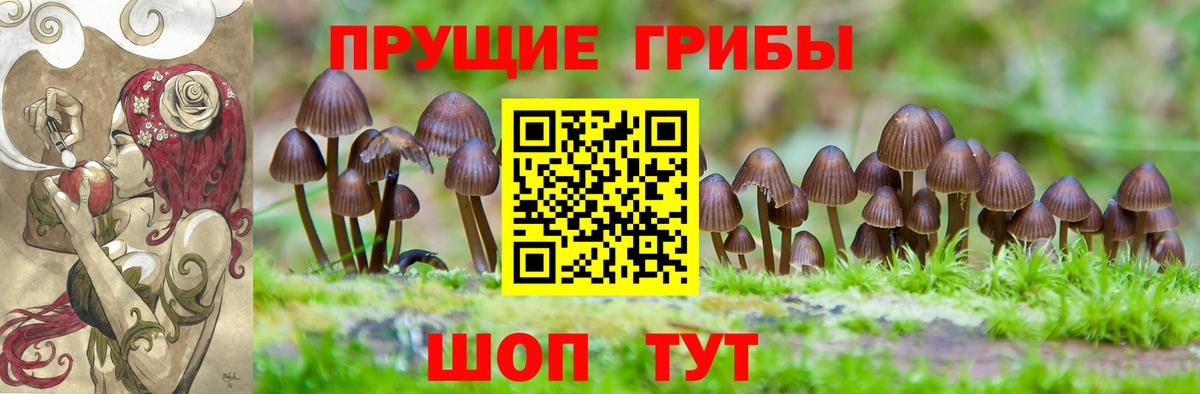 Галлюциногенные грибы ЛСД  Галлюциногенные грибы Magic Shrooms  Вход с VPN  Муравленко 